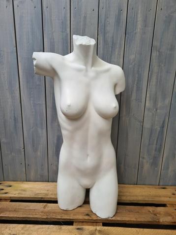 mooi vormgegeven dames buste paspop torso vrouw  beschikbaar voor biedingen