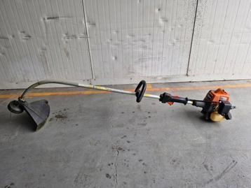 Bosmaaier  beschikbaar voor biedingen