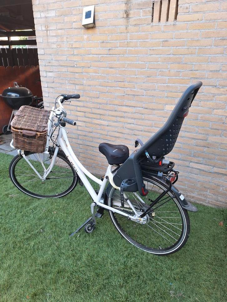 Gratis kinderzitje en mandje bij Puch Moederfiets, Fietsen en Brommers, Fietsen | Dames | Moederfietsen, Ophalen