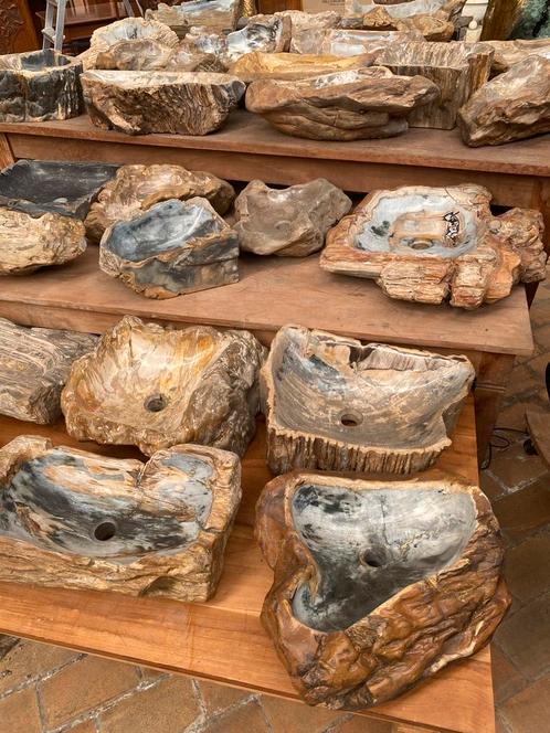 mooie partij petrified wood wasbakken, Verzamelen, Mineralen en Fossielen, Mineraal, Ophalen of Verzenden