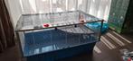 Knaagdieren hok en toebehoren, Gebruikt, Hamster, Hok, 75 tot 110 cm