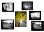 8mm film Elmer Fudd - Ameisen Armee - 60mtr - geluid zw/w -, Audio, Tv en Foto, Filmrollen, Verzenden, 16mm film