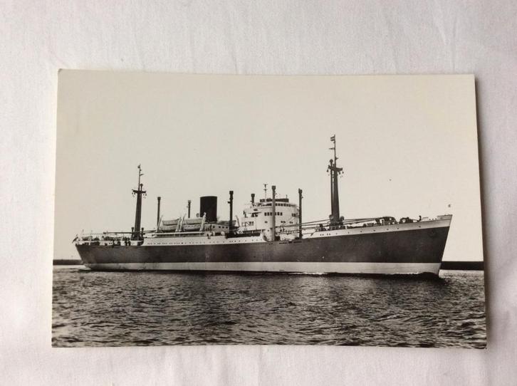 m.s. Blitar Koninklijke Rotterdamsche Lloyd, Verzamelen, Ansichtkaarten | Themakaarten, Ongelopen, 1940 tot 1960, Voertuig, Ophalen of Verzenden