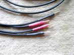 Audioquest speaker kabels, Ophalen of Verzenden, Zo goed als nieuw, Minder dan 2 meter