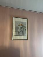 Ikea fotolijst SILVERHÖJDEN 50x70, Ophalen, 50 tot 75 cm, Zo goed als nieuw, 50 tot 75 cm