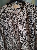 Zeer leuk lang jasje met pantermotief,maat 38, Kleding | Dames, Jasjes, Kostuums en Pakken, Ophalen of Verzenden, Zo goed als nieuw
