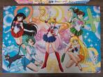 Sailor Moon puzzle (puzzel)
104 stukjes compleet, Ophalen of Verzenden, Minder dan 500 stukjes, Zo goed als nieuw, Legpuzzel