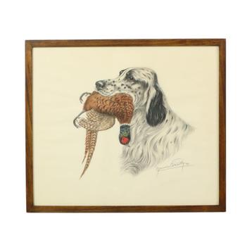 Maurice Brailly Jachthond Fazant Vintage Grafiek in Kleur 72 beschikbaar voor biedingen