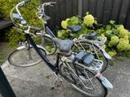 2x Sparta Ion L Serie Elektrische Fietsen, Fietsen en Brommers, Elektrische fietsen, Ophalen, Sparta, Gebruikt, 55 tot 59 cm