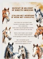 Stalling met weidegang gezocht, Dieren en Toebehoren, Stalling en Weidegang, Weidegang, 1 paard of pony