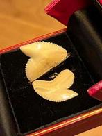 Setje haaientanden, waarvan 1 aan hangertje, Sieraden, Tassen en Uiterlijk, Kettingen, Ophalen of Verzenden, Zo goed als nieuw