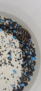 3 helena slakken, Dieren en Toebehoren, Slak of Weekdier