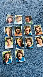 De graafschap panini Vanderhout 1973-1974, Gebruikt, Ophalen of Verzenden