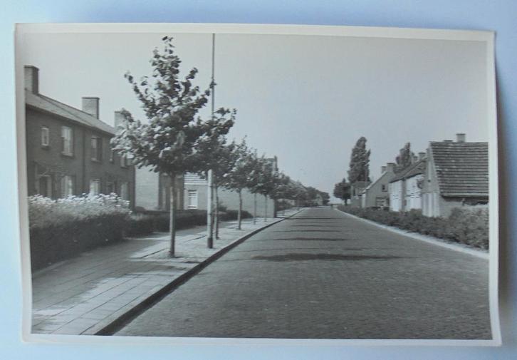 Moederfoto GILZE, Woningen langs Nerhovensestraat 1958., Verzamelen, Ansichtkaarten | Nederland, Ongelopen, Noord-Brabant, 1940 tot 1960