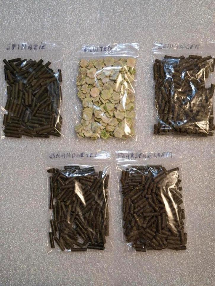 Garnalen sticks / pallets / erwten vlokken, Sieraden, Tassen en Uiterlijk, Oorbellen, Zo goed als nieuw, Overige materialen, Ophalen of Verzenden