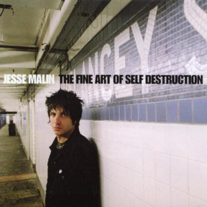 Jesse Malin, Cd's en Dvd's, Cd's | Rock, Gebruikt, Ophalen of Verzenden