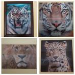 3D schilderij tijger leeuw panter luipaard poes kat, Huis en Inrichting, Minder dan 50 cm, Ophalen of Verzenden, Zo goed als nieuw