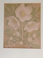 Jan Voerman Junior lithografie bloemen Stilleven, Antiek en Kunst, Verzenden