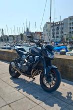 Kawasaki Z750, Particulier, Naked bike