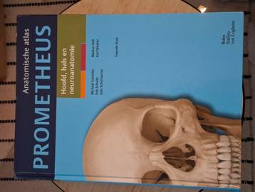 Michael Schünke - Hoofd, hals en neuroanatomie beschikbaar voor biedingen