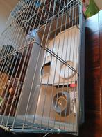 Konijn / cavia hok zgan, Kooi, Zo goed als nieuw, Konijn, 75 tot 110 cm