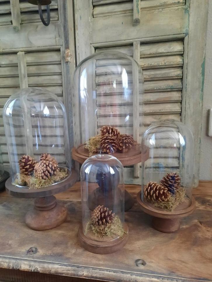 Vier stolpen op houten voet stolp cloche stoer sober, Huis en Inrichting, Woonaccessoires | Stolpen, Gebruikt, Ophalen