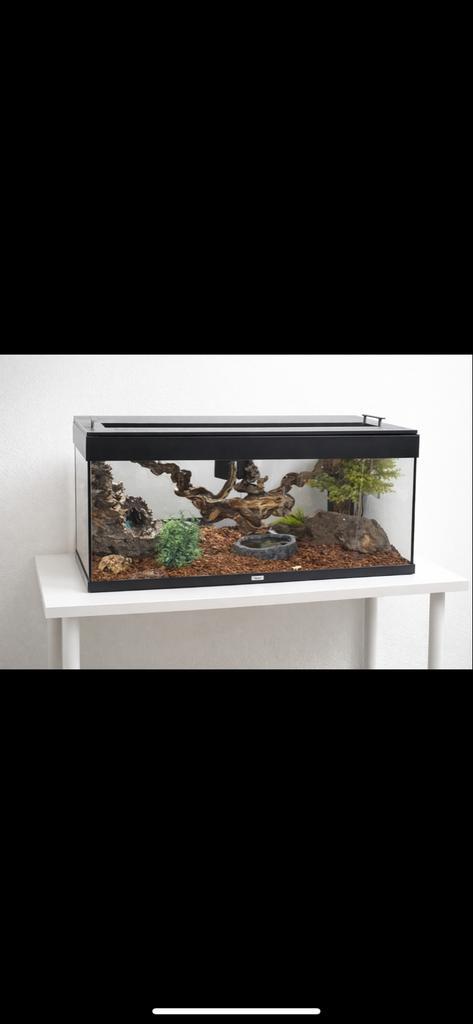 Terrarium met waterval en 3 soorten licht, Dieren en Toebehoren, Reptielen en Amfibieën | Toebehoren, Terrarium of Paludarium