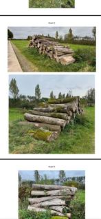 Boomstammen - Diverse Lengtes - Op Te Halen in Asch, Tuin en Terras, Haardhout, 6 m³ of meer, Ophalen, Overige houtsoorten