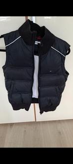 Tommy Hilfiger maat S, Kleding | Dames, Bodywarmers, Ophalen of Verzenden, Gedragen, Maat 38/40 (M), Blauw