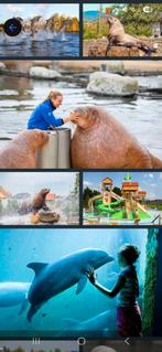 2 kaartjes dolfinarium aangeboden., Tickets en Kaartjes