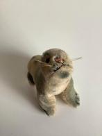 vintage Steiff zeehondje "Robby", Ophalen of Verzenden