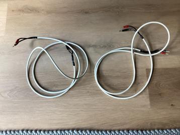 Chord Odyssey X beschikbaar voor biedingen