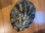 Papier mache oester, Antiek en Kunst, Ophalen of Verzenden