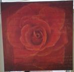 Schilderij - Rode Roos - Op Canvasdoek, Ophalen of Verzenden