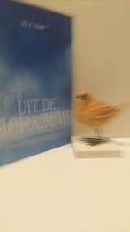 Neele, Ds. C.; Uit de schaduw, Ophalen of Verzenden, Gelezen, Christendom | Protestants