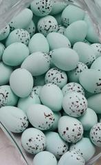 Porseleinen goudvink en sijzen eieren, Meerdere dieren, Wildzangvogel, Geringd