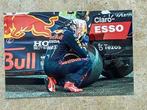 Org kleurenfoto 20x30 cm Max Verstappen WK Abu Dhabi F-1, Verzenden, Nieuw, Formule 1