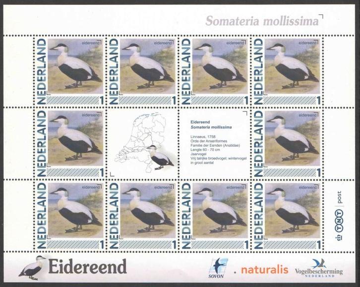 Postzegels Vogels in Nederland: Eidereend, Postzegels en Munten, Postzegels | Nederland, Postfris, Na 1940, Ophalen of Verzenden