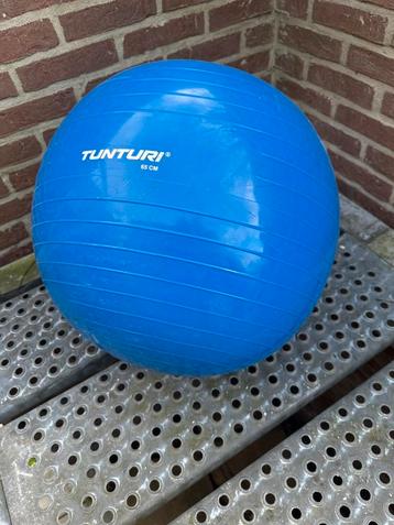 Tunturi fitnessbal 65 cm – blauw beschikbaar voor biedingen