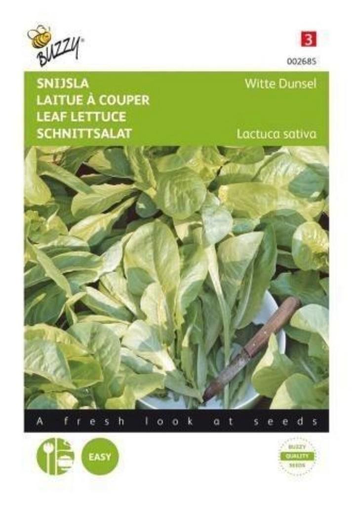 Snijsla zaden - Witte Dunsel, Tuin en Terras, Bloembollen en Zaden, Volle zon, Ophalen of Verzenden