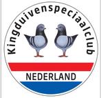 kingduiven, Dieren en Toebehoren, Vogels | Duiven, Meerdere dieren, Overige soorten