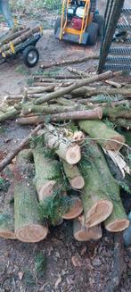 Gratis afhalen in Soest veel coniferen boomstammetjes, Tuin en Terras, Haardhout, 3 tot 6 m³, Ophalen, Overige houtsoorten