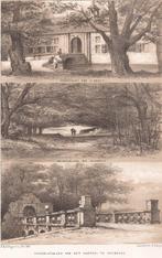 Voorpoort en Beukenlaan Elswout Overblijfs. Kasteel Heemstee, Ophalen of Verzenden