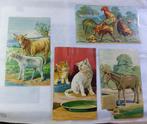Oude prenten oude platen 11 x 18 cm, Ophalen of Verzenden, Zo goed als nieuw, 1940 tot 1960, Dier