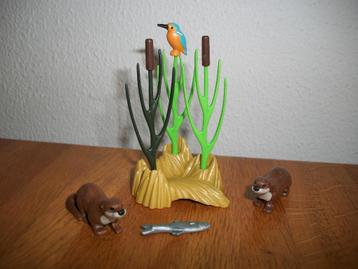 Ijsvogel en otters / dieren beschikbaar voor biedingen