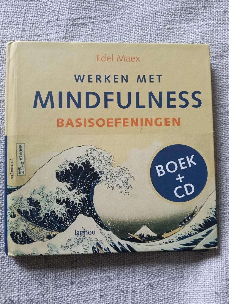 Werken met Mindfulness - Edel Maex, Gelezen, Meditatie of Yoga, Achtergrond en Informatie, Edel Maex