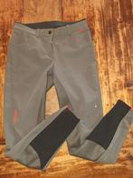 Eurostar Paardrijbroek, Dames, Nieuw, Overige soorten, Onderkleding