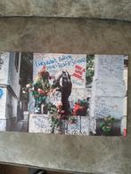 Jim Morrison:  Rustplaats Pere  Lachaise, Verzamelen, Ophalen of Verzenden, Zo goed als nieuw, Foto of Kaart