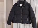 Tommy Hilfiger jack, jas, Kleding | Dames, Ophalen of Verzenden, Zo goed als nieuw, Maat 46/48 (XL) of groter, Zwart