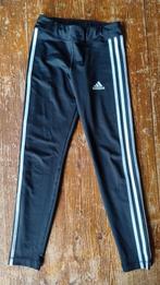 Adidas Climalite sportbroek trainingsbroek zwart 11-12y, Ophalen of Verzenden, Zo goed als nieuw, Adidas, Meisje